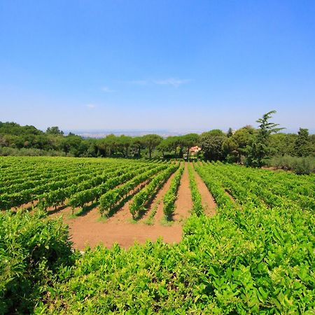 Frascati Country House غروتافراتا المظهر الخارجي الصورة