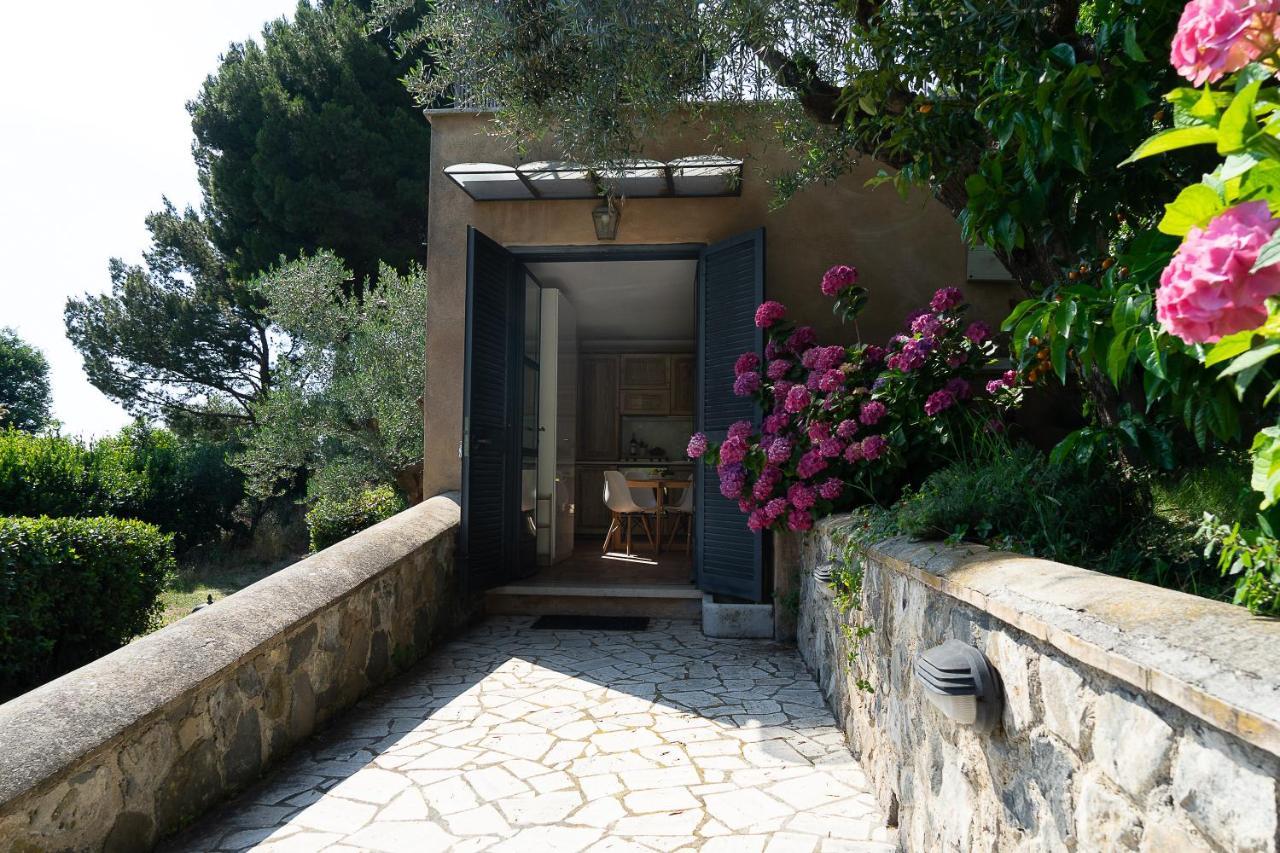 Frascati Country House غروتافراتا المظهر الخارجي الصورة