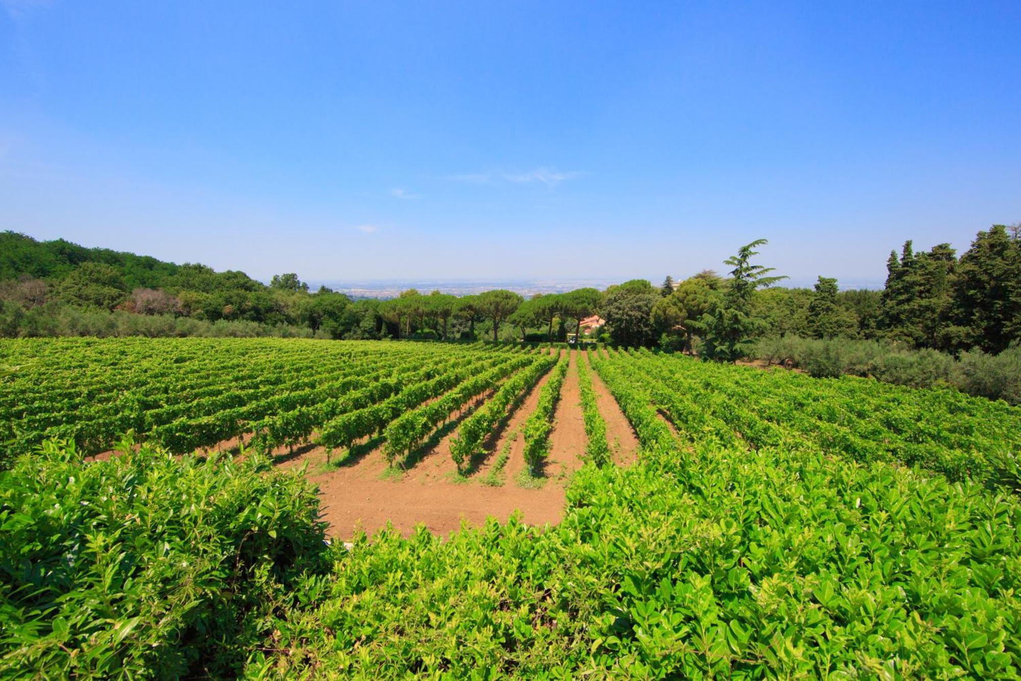 Frascati Country House غروتافراتا المظهر الخارجي الصورة